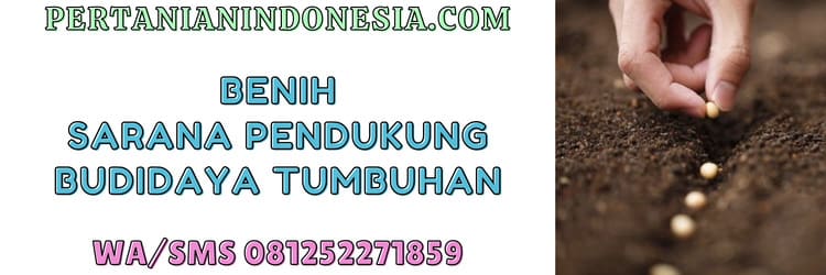 benih,sarana pendukung,budidaya,budidaya tanaman,budidaya tumbuhan